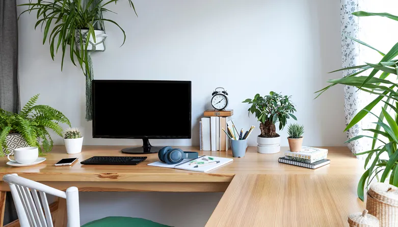A minimal white desk with a few small pots and a mini bonsai beside the monitor.