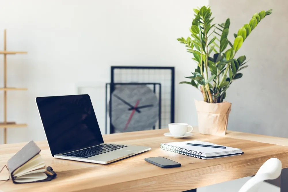 A minimal wooden desk with a laptop, a clock and a ZZ plant wrapped in kraft paper.