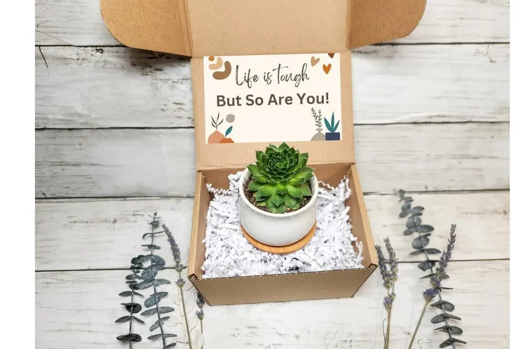 A small handwritten note tied to a succulent pot.