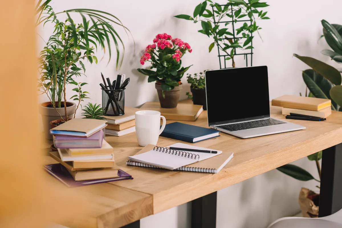 A wooden desk cluttered with books, a notebook, a laptop and several small potted plants, including a pink kalanchoe.
